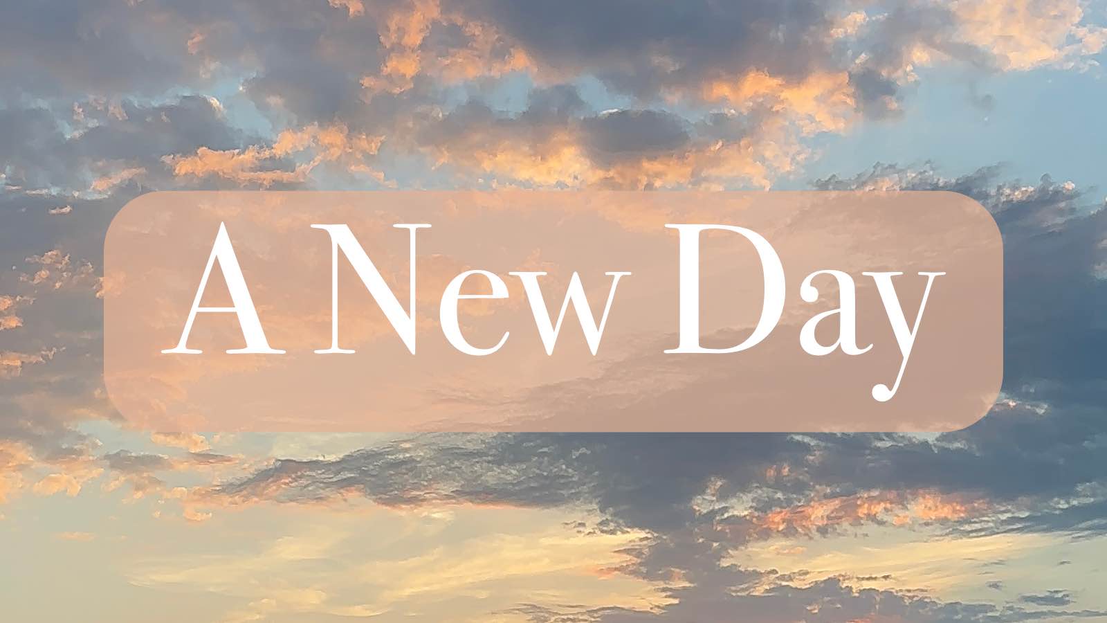 A New Day (Updated 1/1/24) Allegory Gallery