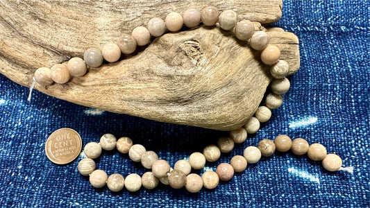 Fossilized Coral Bead Strand - Smooth Rounds - 8mm - 16”
