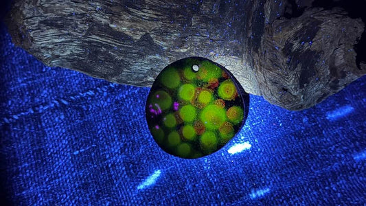 Enamel Pendant by Andrew Thornton