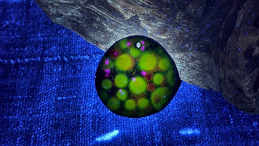 Enamel Pendant by Andrew Thornton