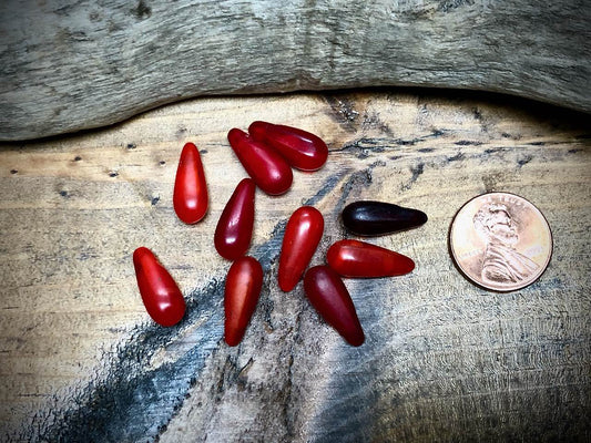 African Trade Bead Lot: 10 Mali Wedding Trade Beads—7mm x 16mm