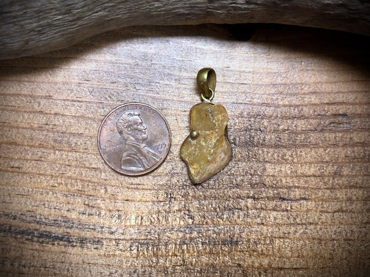 Nepalese Amber Charm