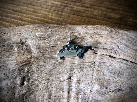 Silver Tortoise Charm with Bronze Moon
