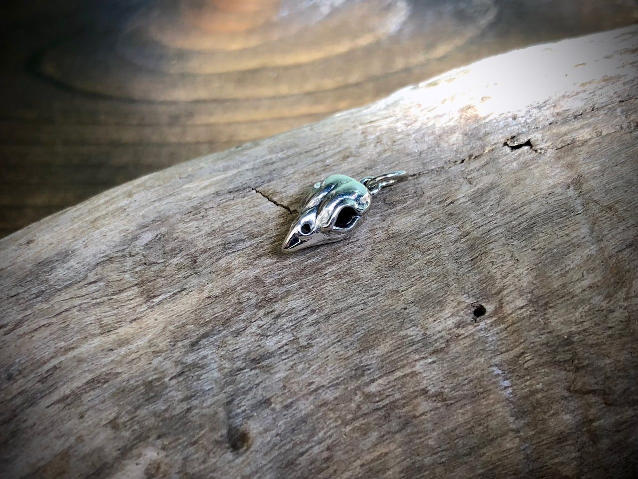 Sterling Bird Skull Charm
