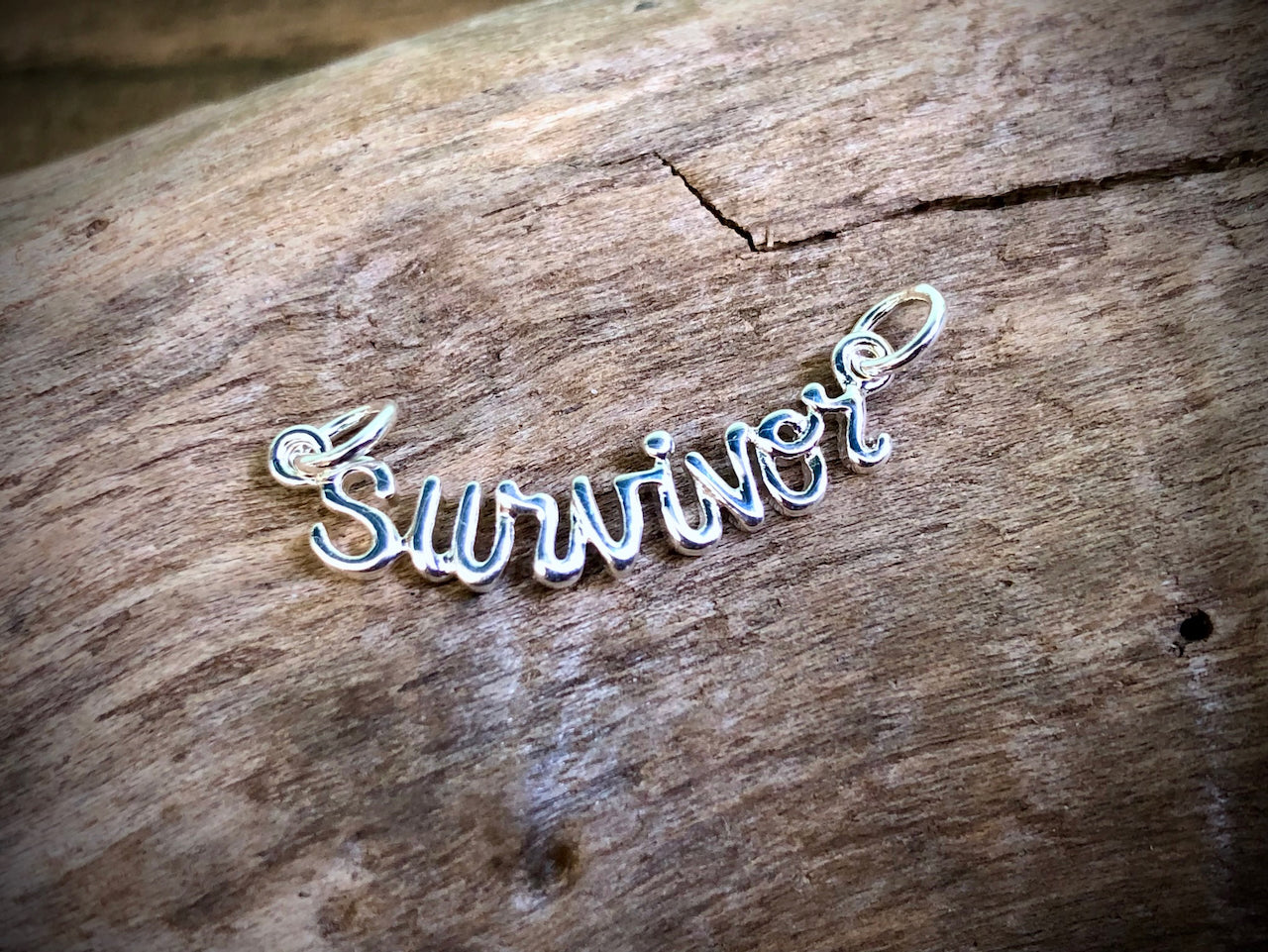 Silver Plated Bronze Cursive Survivor Link