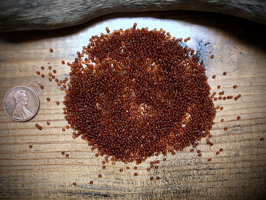 Vintage Czech Glass - 14/0 Seed Beads - Coffee