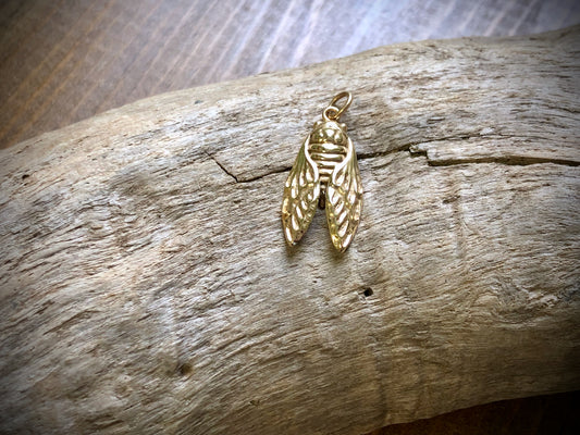 Bronze Cicada Charm