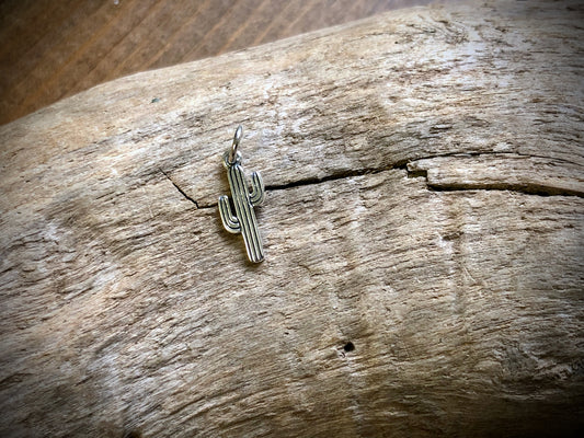 Sterling Tiny Cactus Charm