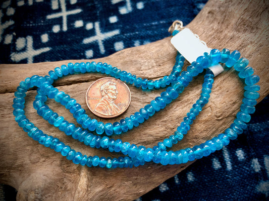 Graduated Apatite Smooth Rondelle Bead/Necklace Strand - 18"