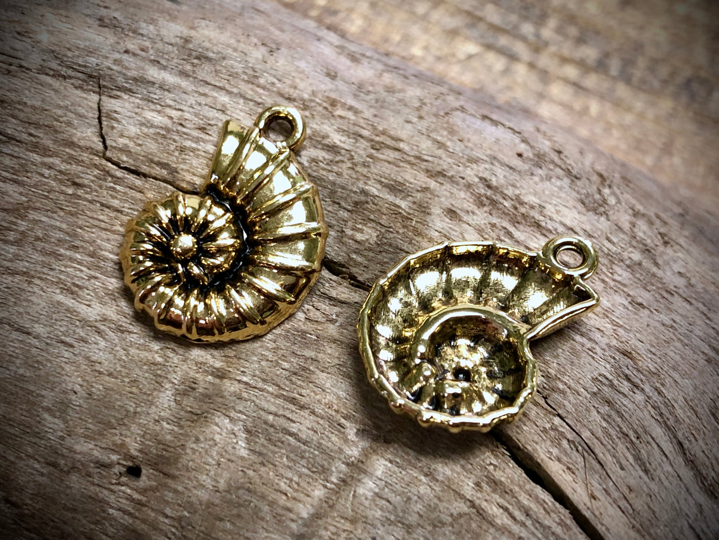Ammonite Charm - Gold Tone