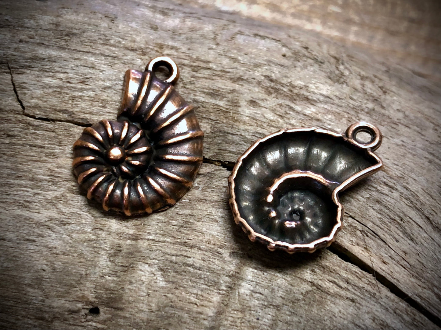 Ammonite Charm - Antique Copper