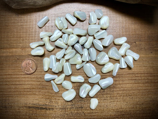 Mother of Pearl Chips - Assorted Sizes Set