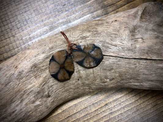 Chiastolite Gemstone Pair