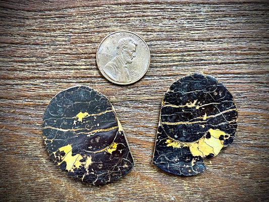 Small Ammonite Specimen/Fossil Pair