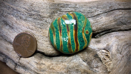 Lampwork Glass Bead by Tamara Melcher