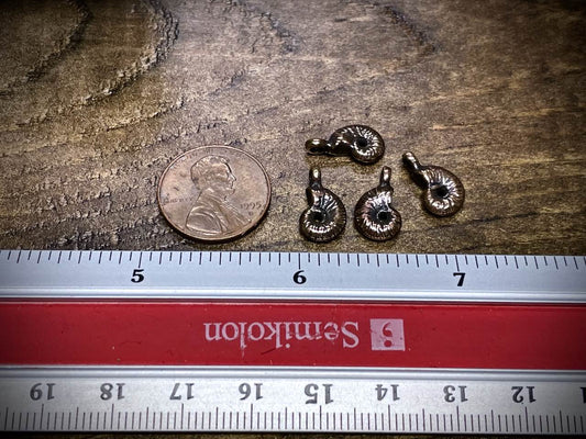 Bronze Nautilus Charm