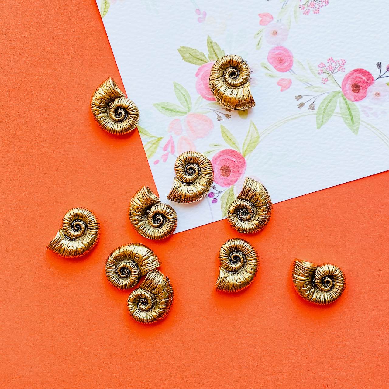 Allegory Gallery Pewter—Ammonite Shell