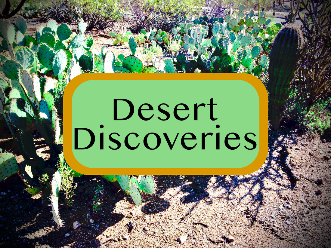 Announcing Desert Discoveries!!