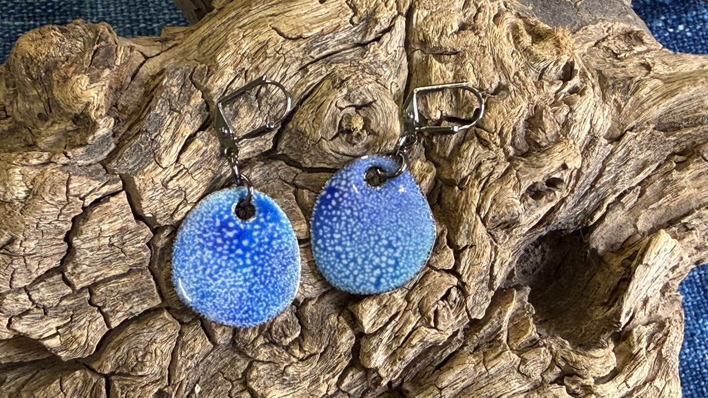 Winter Blizzard Enamel Earrings by Andrew Thornton