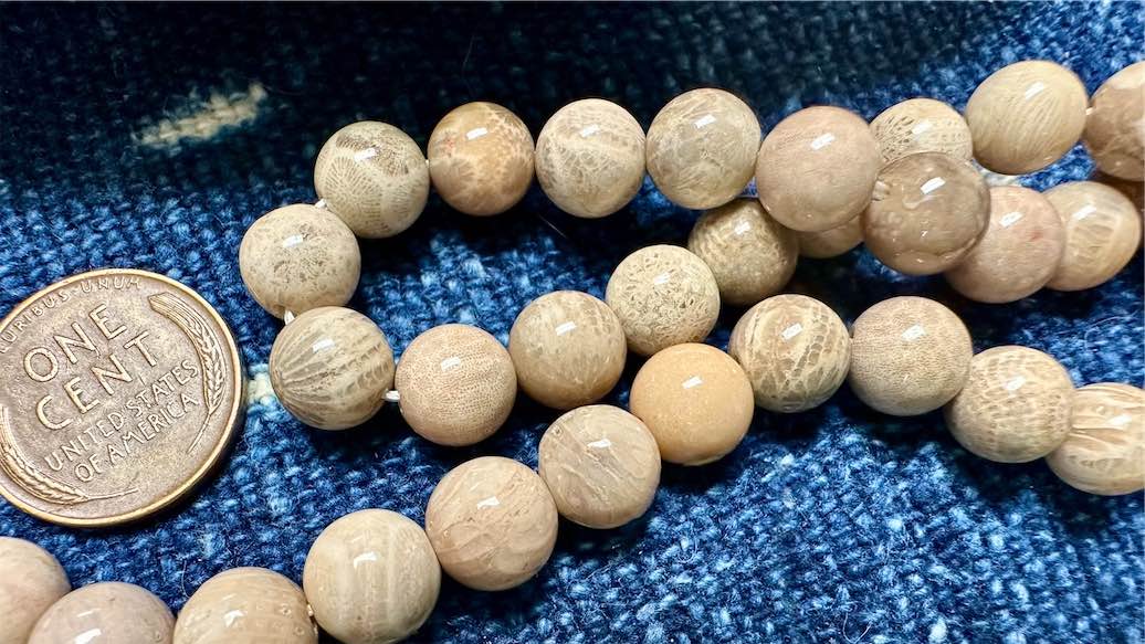 Fossilized Coral Bead Strand - Smooth Rounds - 8mm - 16”