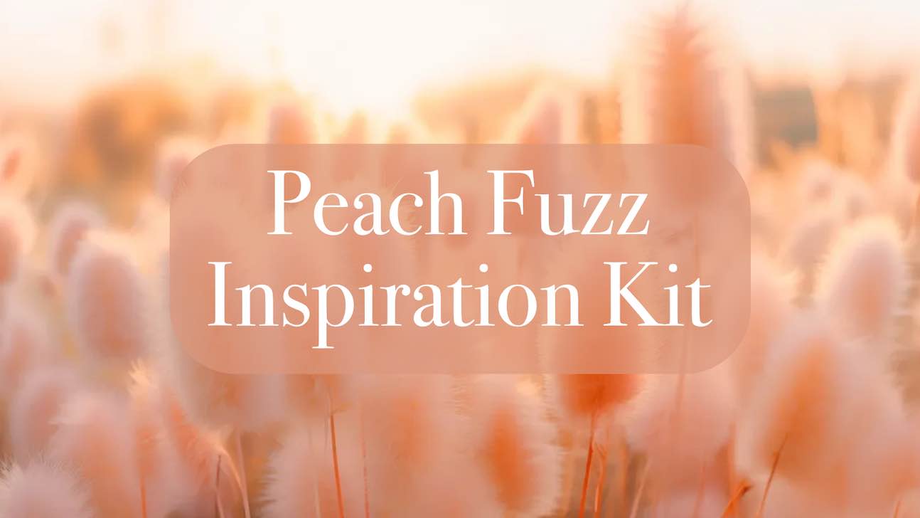 Pantone Color of the Year 2024 Inspiration Kit—Peach Fuzz