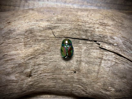 European Crystal Faceted Scarab Bead - Opaque Foil