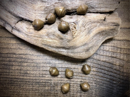 Ugandan Paper Beads - Solid Brown