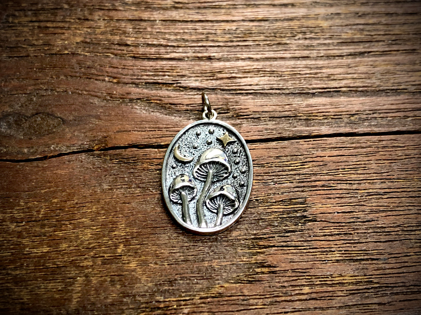 Silver Mushroom Pendant Charm with Bronze Star and Moon