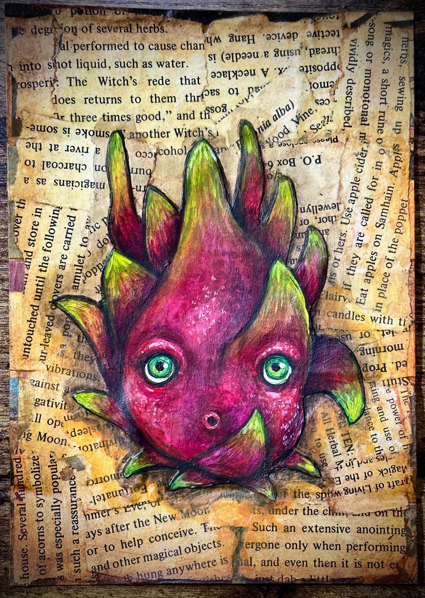 Strange Harvest—Dragonfruit by Andrew Thornton