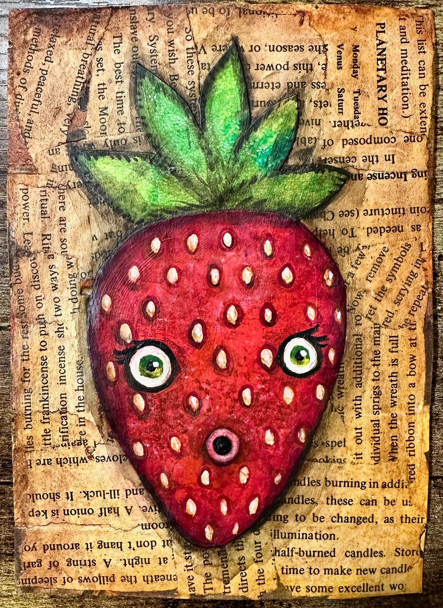 Strange Harvest—Strawberry by Andrew Thornton