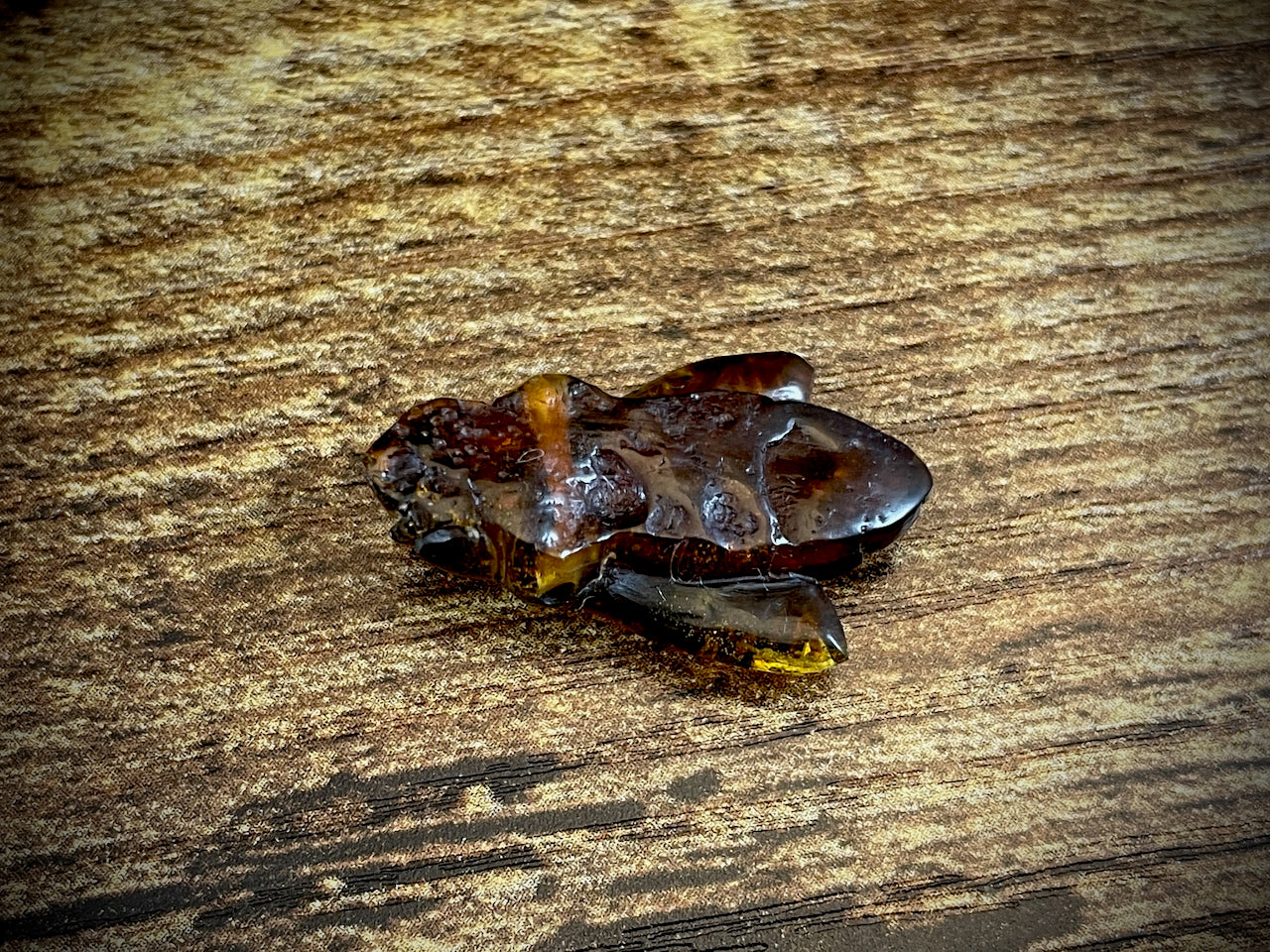 Hand-Carved Amber Bee #47
