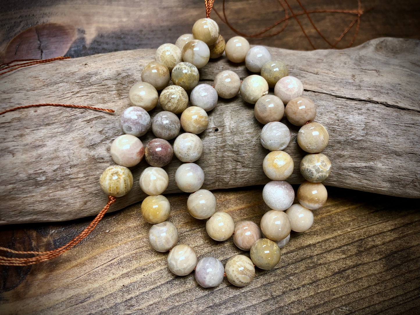 Fossilized Coral Rounds Bead Strand - 10mm - 15.5”