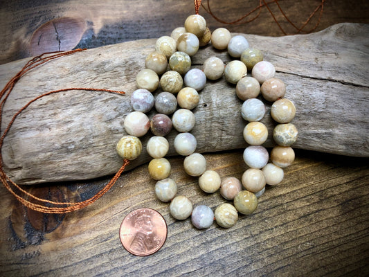 Fossilized Coral Rounds Bead Strand - 10mm - 15.5”