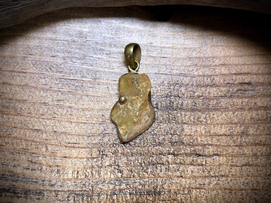 Nepalese Amber Charm