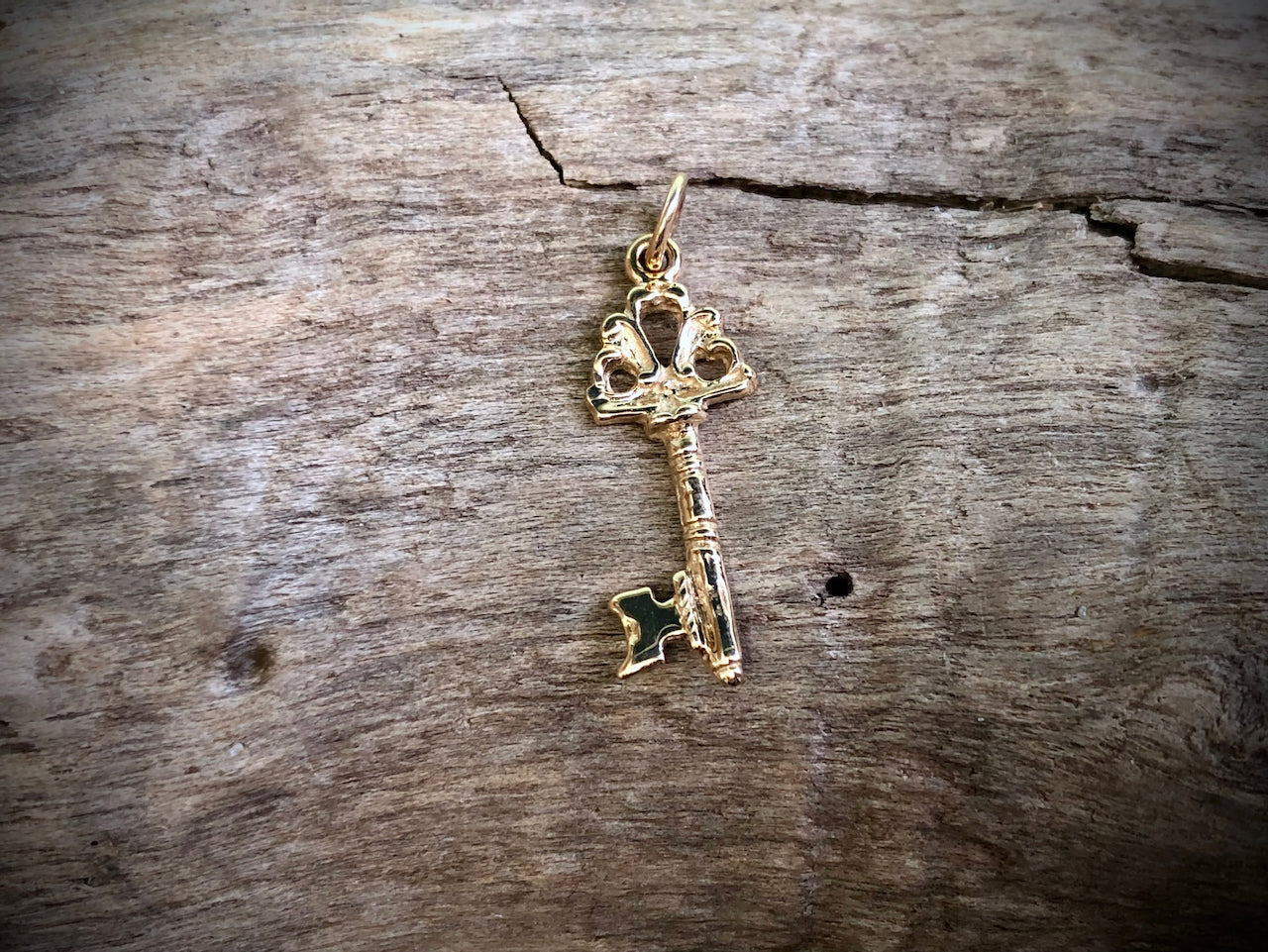 Key with Victorian Crest Charm