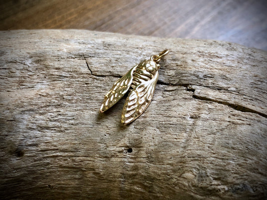 Bronze Cicada Charm