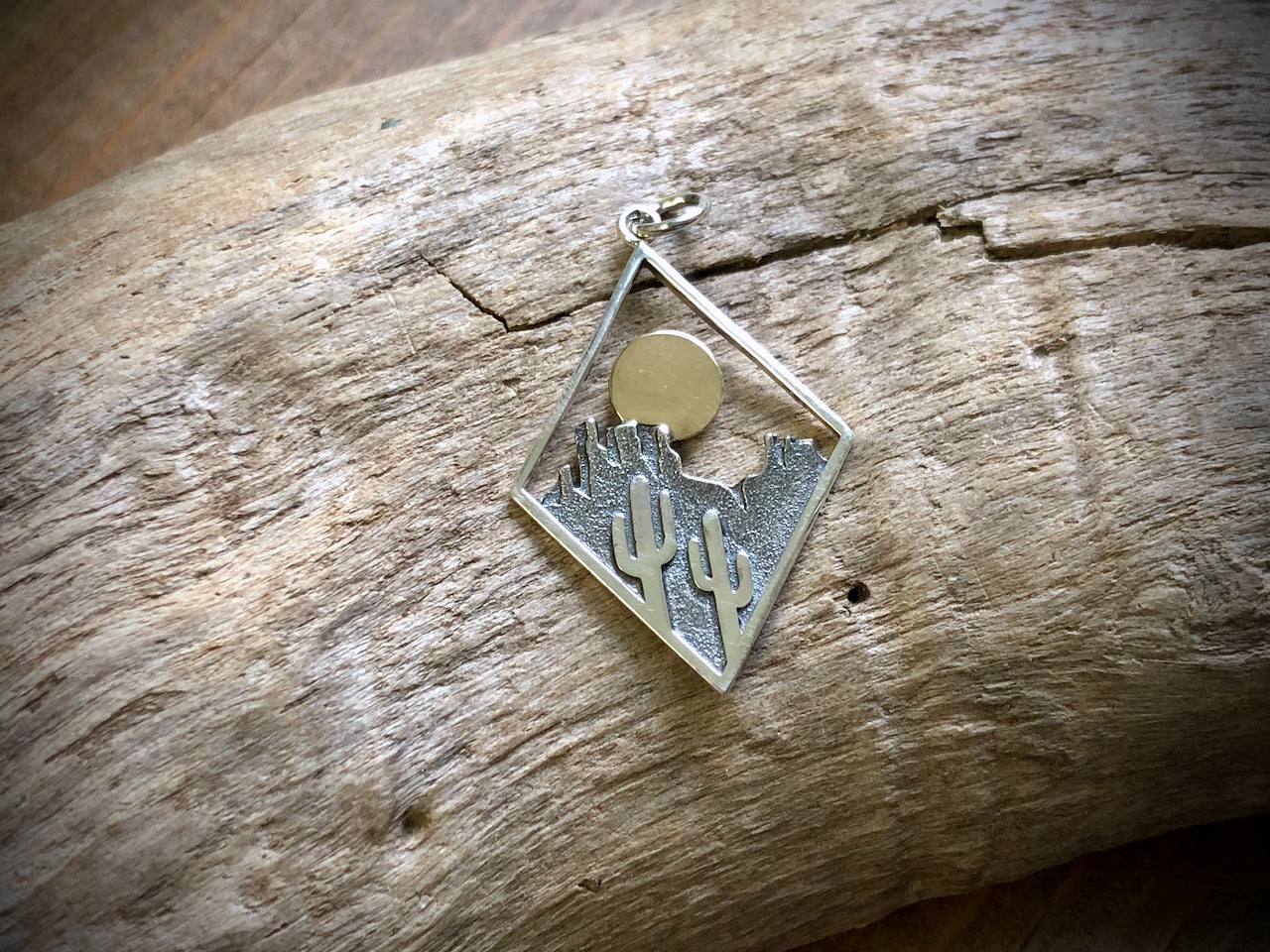 Sterling Cactus Charm in Diamond Frame