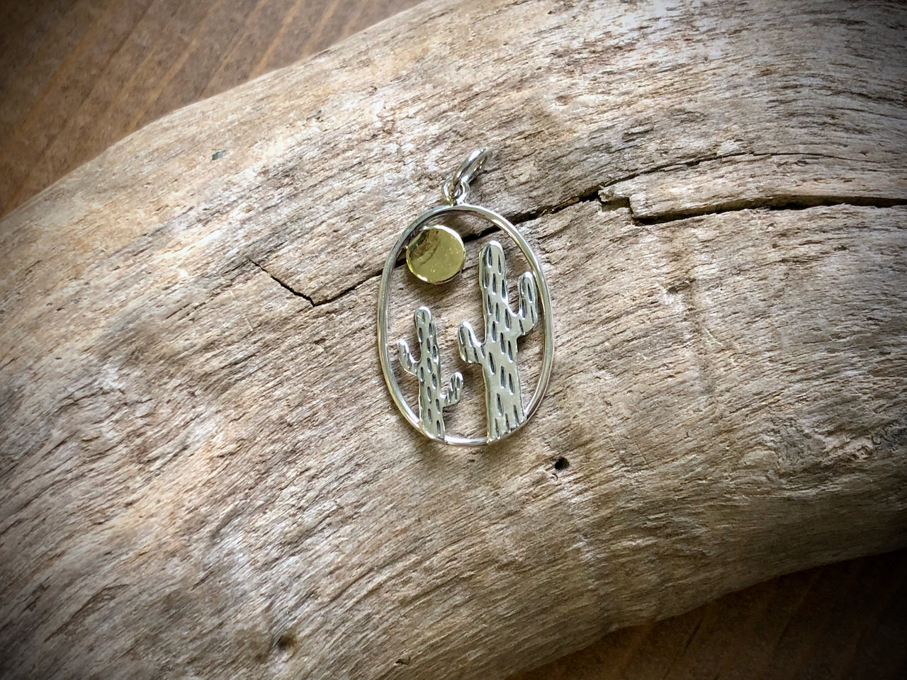 Sterling Cactus Pendant in Oval Frame w/ Bronze Sun