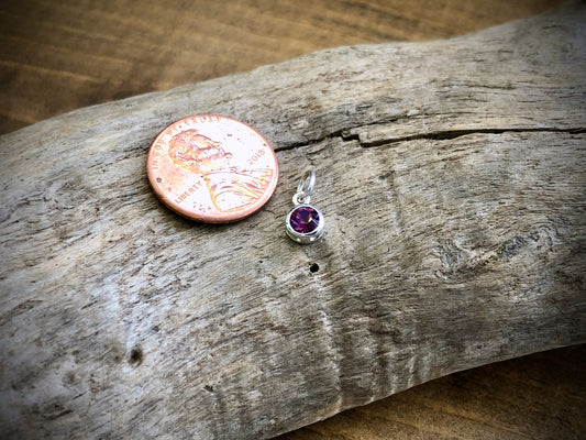 Silver Swarovski Crystal Birthstone Charm - February