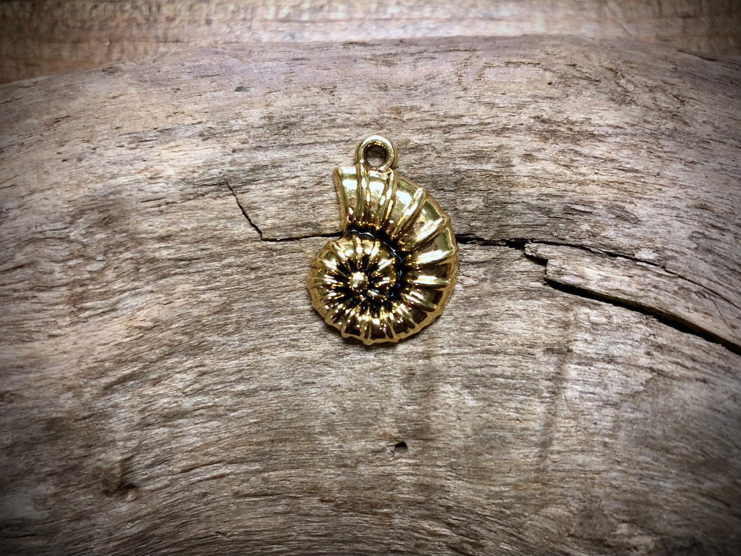 Ammonite Charm - Gold Tone