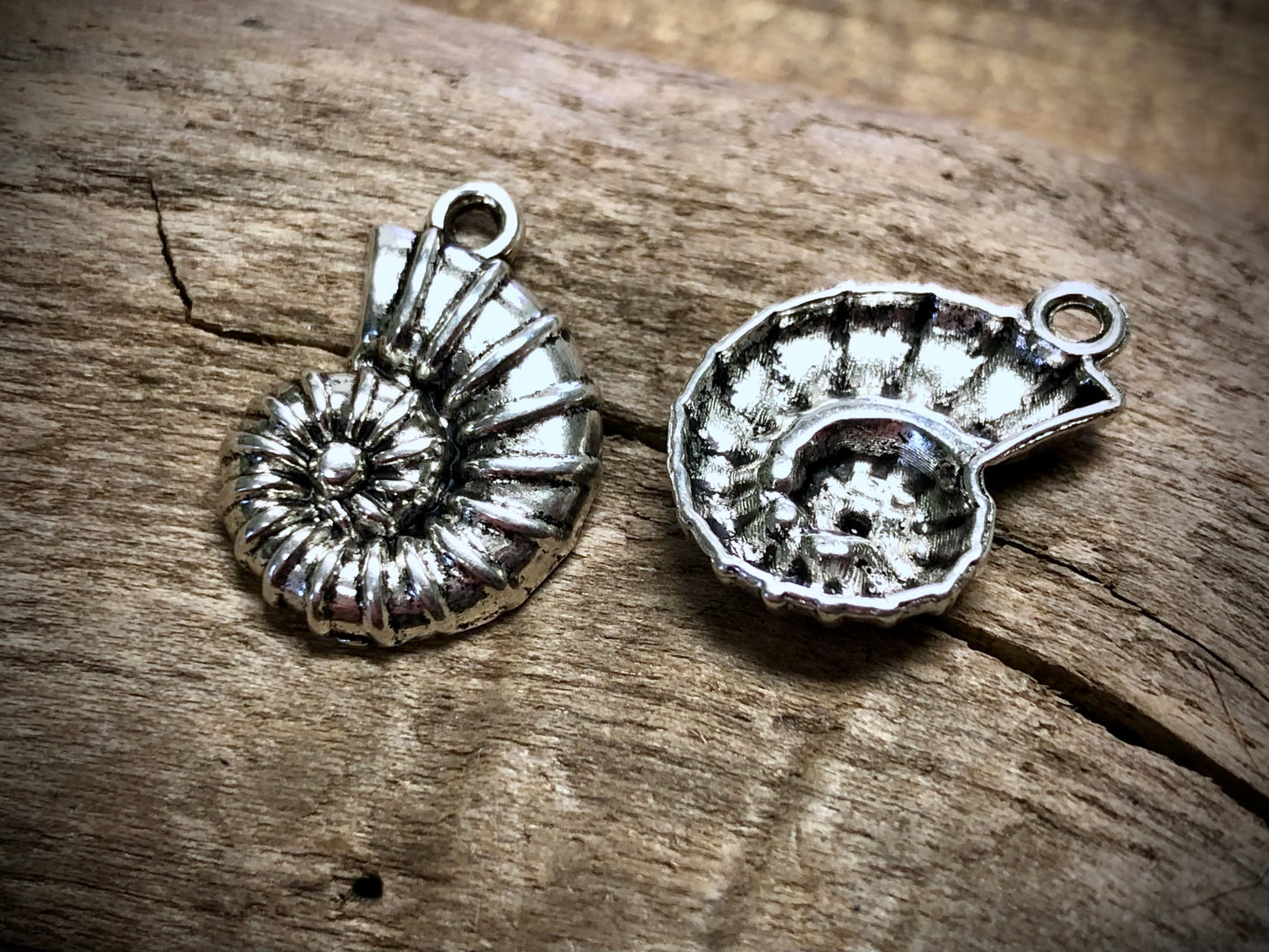 Ammonite Charm - Silver Tone
