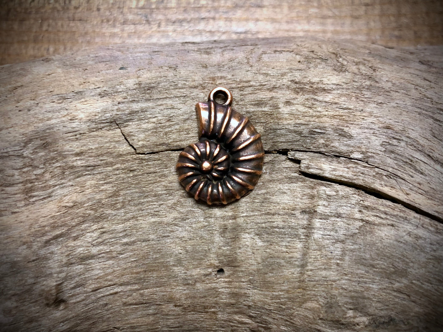 Ammonite Charm - Antique Copper