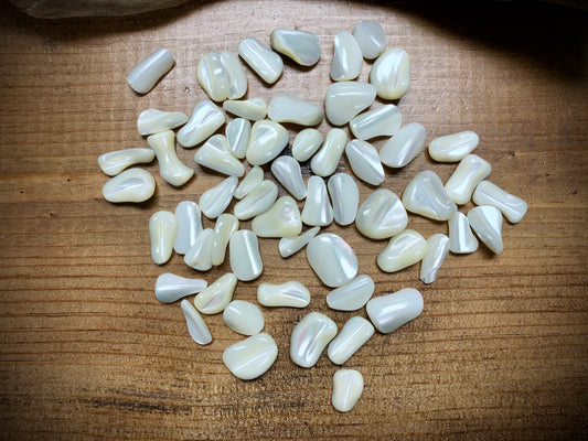 Mother of Pearl Chips - Assorted Sizes Set