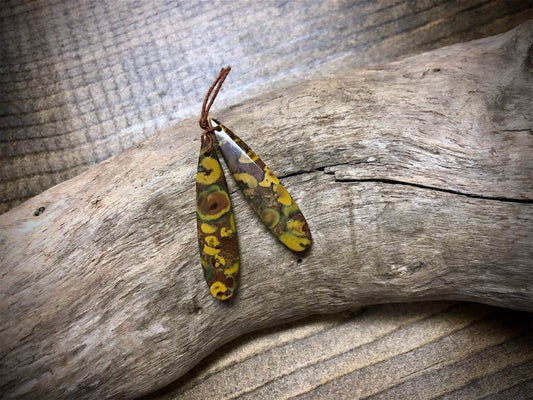 Rainbow Orbicular Jasper Gemstone Pair