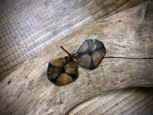 Chiastolite Gemstone Pair