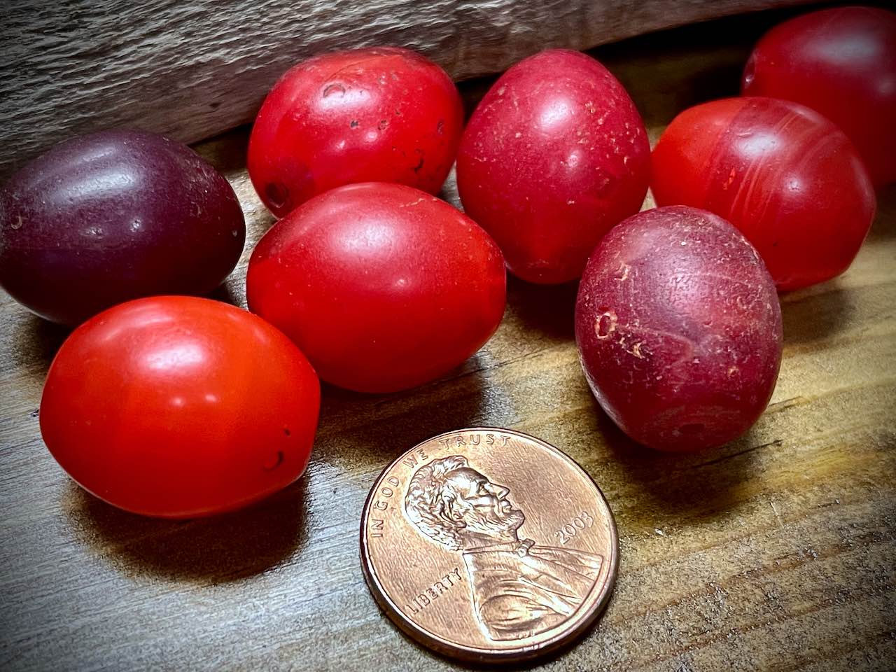 Ethiopian Tomato Glass Trade Bead—16mm x 19mm