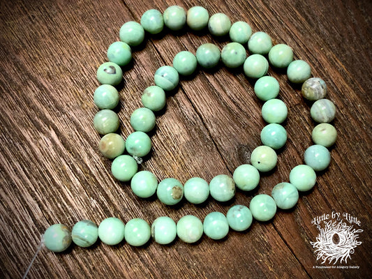 Green Terra Agate 8mm Round Beads